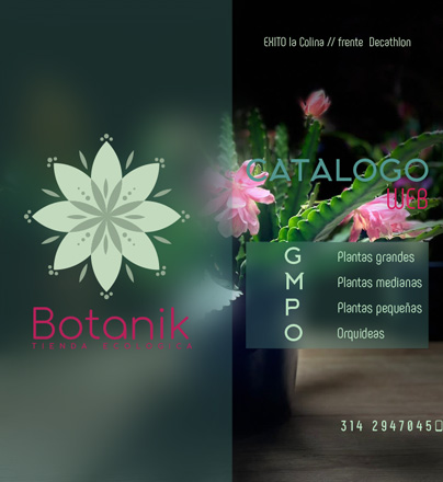 diseño de jardines y patios