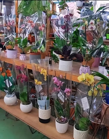 jardineros para conjuntos residenciales en bogota