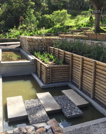 plantas para oficinas bogota