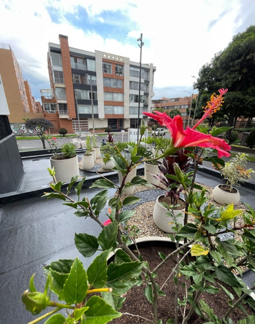 plantas para oficinas en bogota