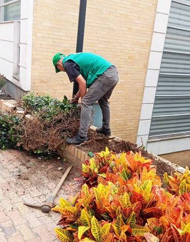 servicios de jardineria para conjuntos-