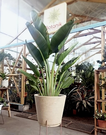 tiendas-de-jardineria-en-bogota