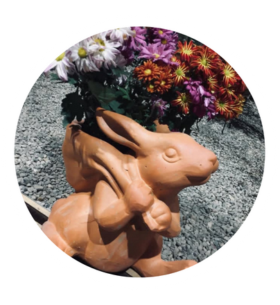 venta de plantas para exteriores