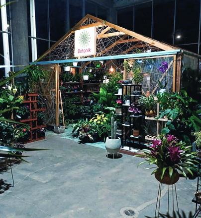venta de plantas para jardin en bogota
