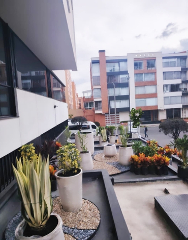 venta de plantas para terrazas en cota