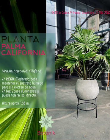 ventas de plantas bogota